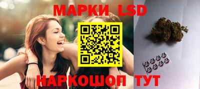 Альфа ПВП Кудрово