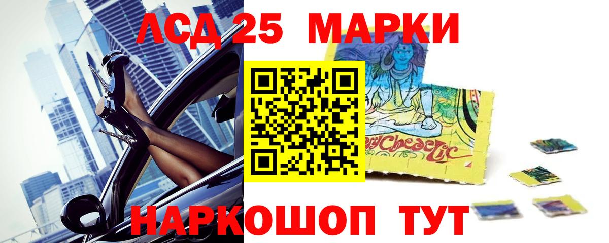 Новосибирск  Лсд 25 экстази кислота  Лсд 25 экстази кислота    ССЫЛКА  Вход с VPN 