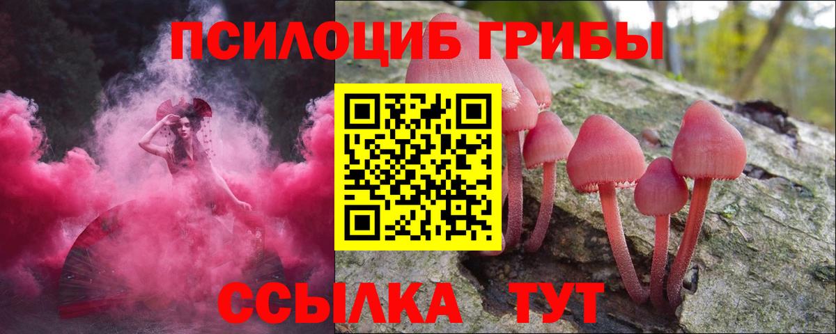 Новосибирск  Псилоцибиновые грибы Magic Shrooms  цены   Галлюциногенные грибы ЛСД  Вход с VPN 
